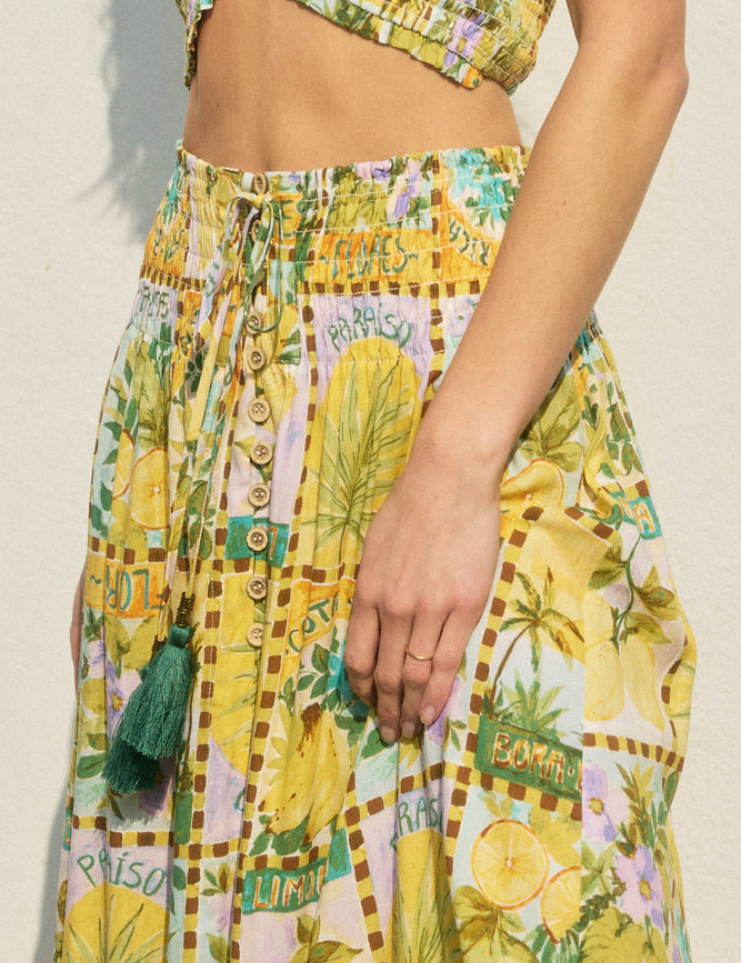 0060043_isla-palma-smocked-hip-midi-skirt_1000.jpg