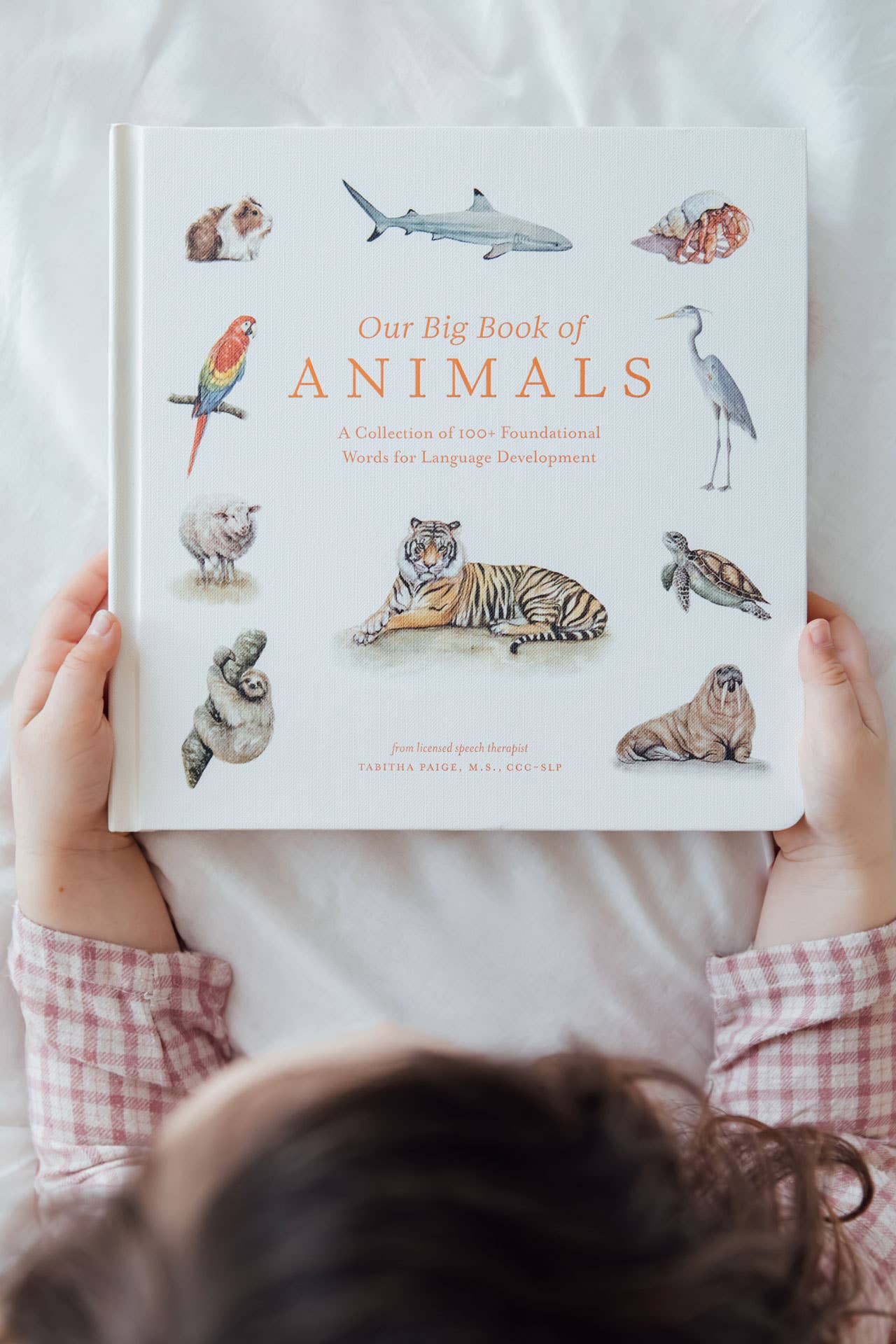 Our Big Book of Animals – Watercolor Board Book