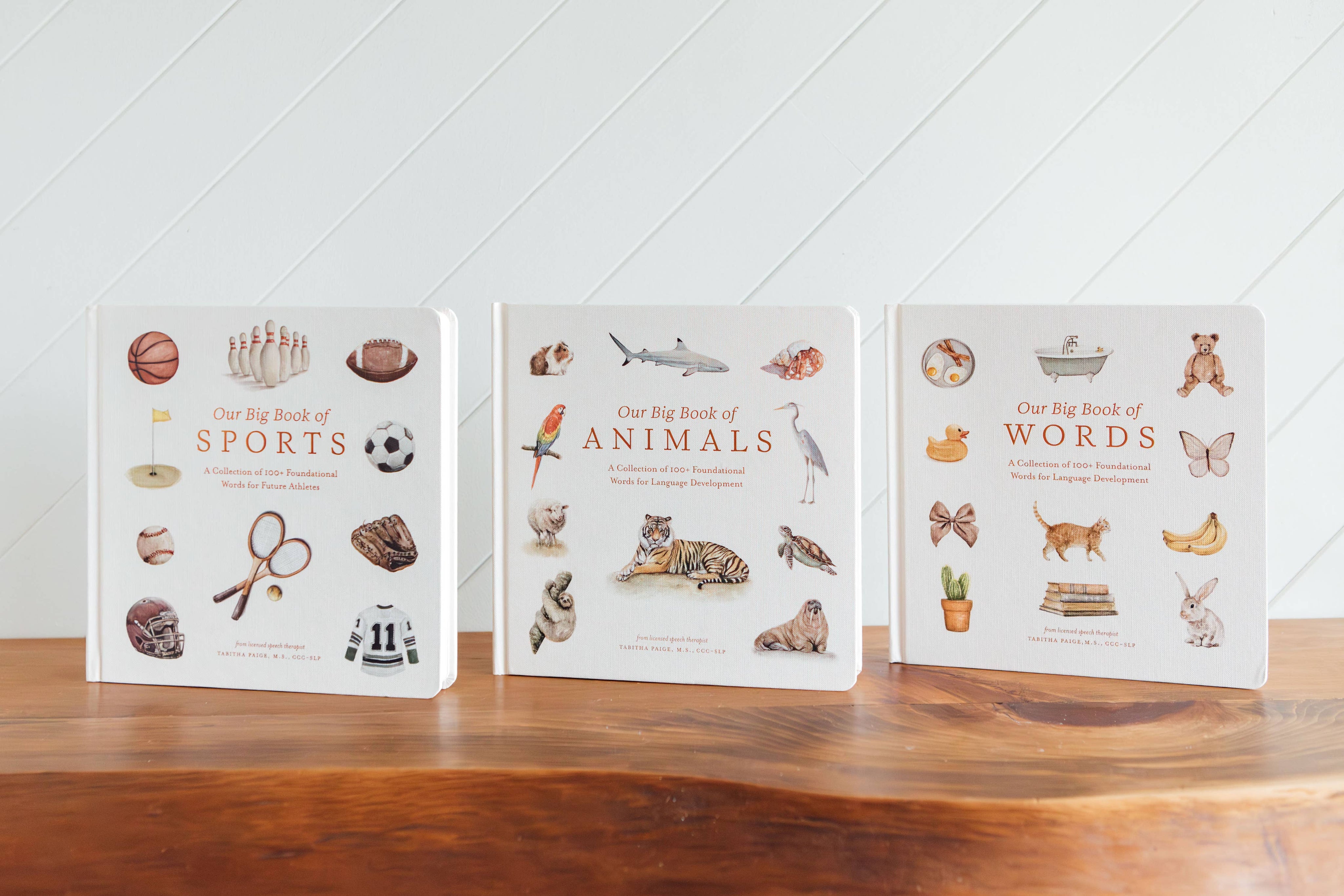 Our Big Book of Animals – Watercolor Board Book