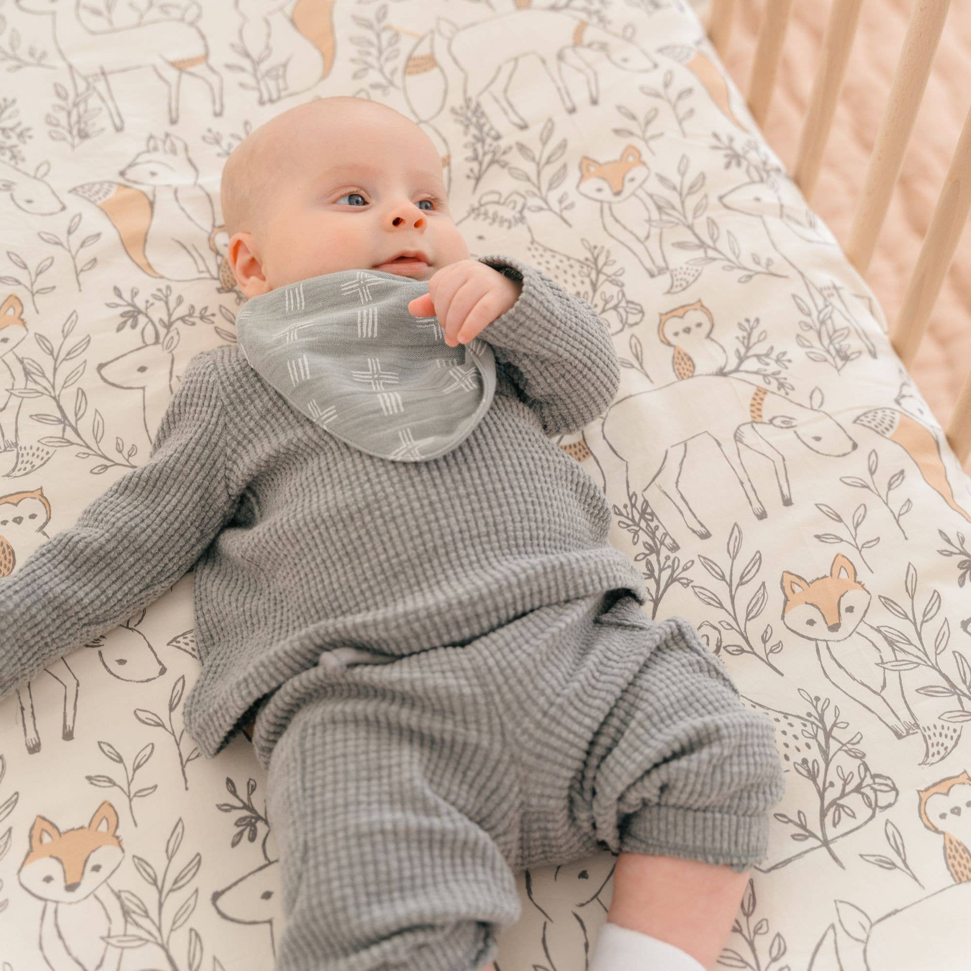 Ezra 3-Pc. Muslin Bib Set