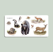 Our Big Book of Animals – Watercolor Board Book