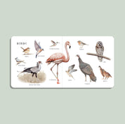 Our Big Book of Animals – Watercolor Board Book