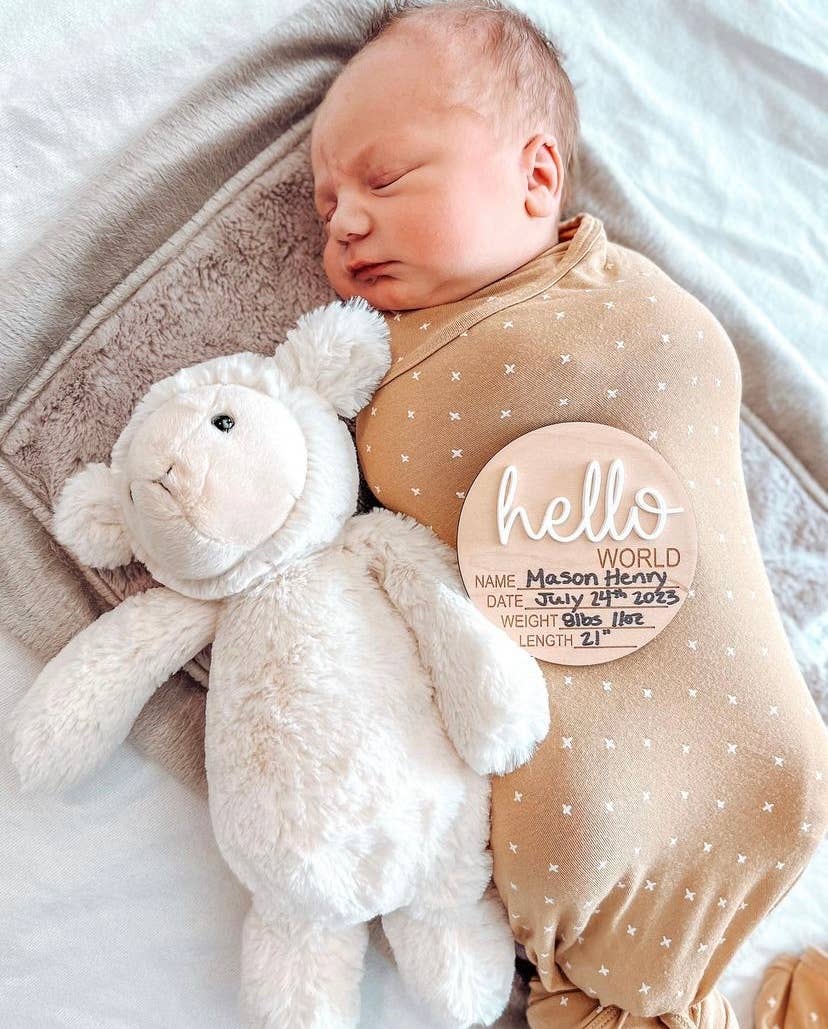 Hello World Announcement Wood Disc