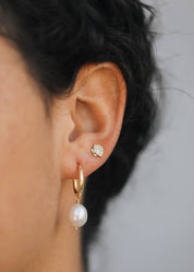 Seashell Gold Stud Earrings