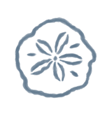 SIESTA___CO_ILLUSTRATIONS_SAND_DOLLAR_DARK.png