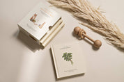 Our Little Adventures Board Book Box Set