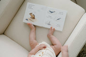 Wishy Washy: First Words and Colors Board Book
