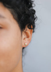 Seashell Gold Stud Earrings
