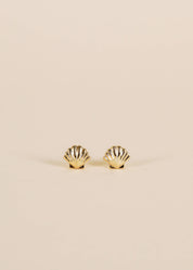 Seashell Gold Stud Earrings