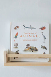 Our Big Book of Animals – Watercolor Board Book
