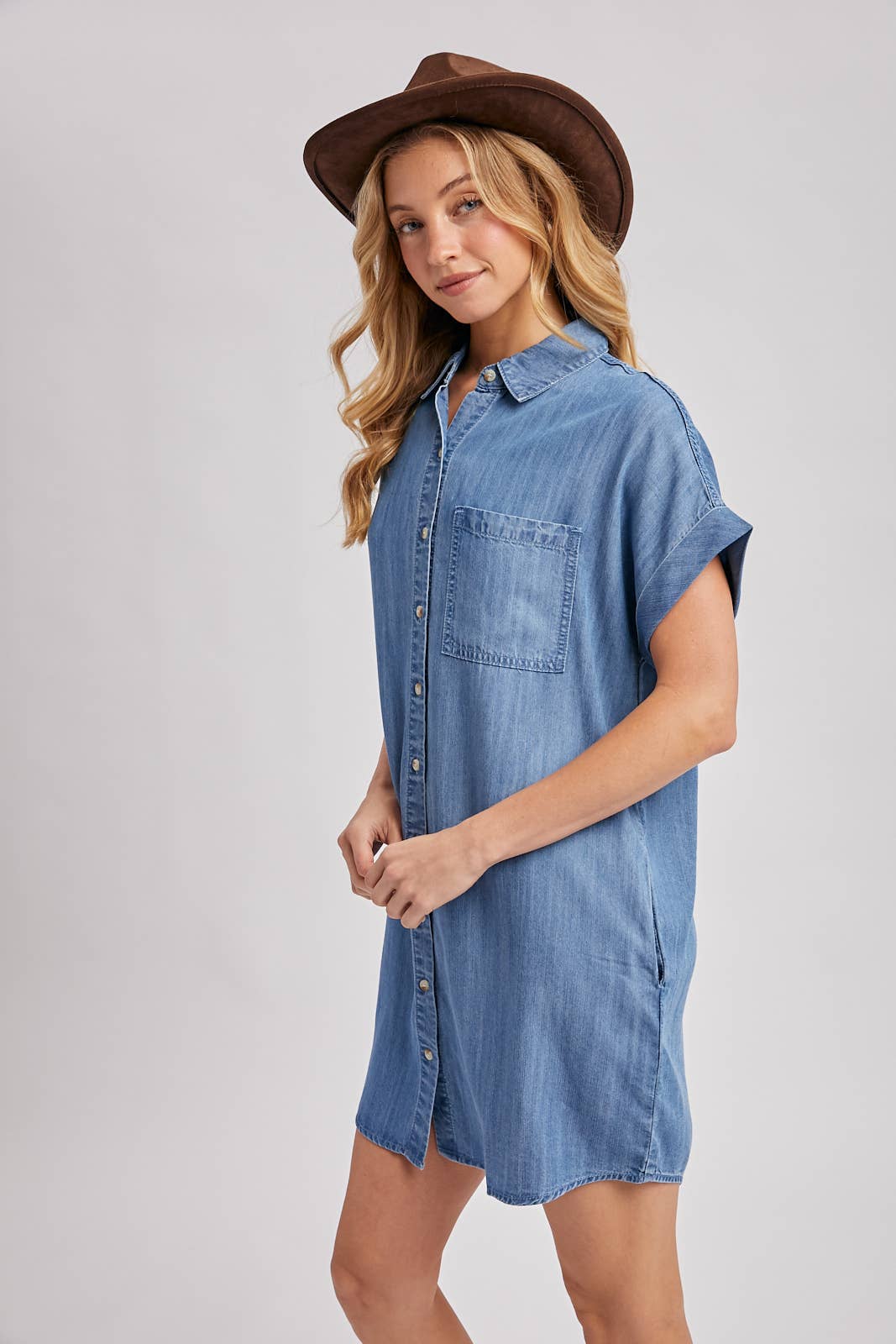 Collins Denim Shirt Dress