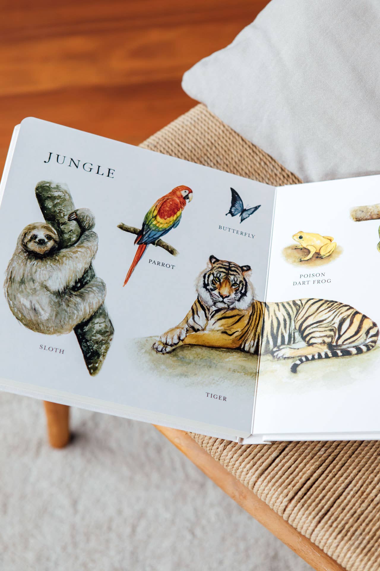 Our Big Book of Animals – Watercolor Board Book