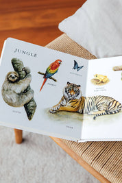 Our Big Book of Animals – Watercolor Board Book