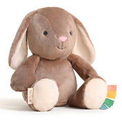 *NEW* Sweetie Snuggles™ Plush