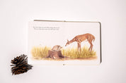 Our Little Adventures Board Book Box Set