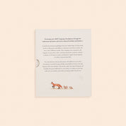 Our Little Adventures Board Book Box Set