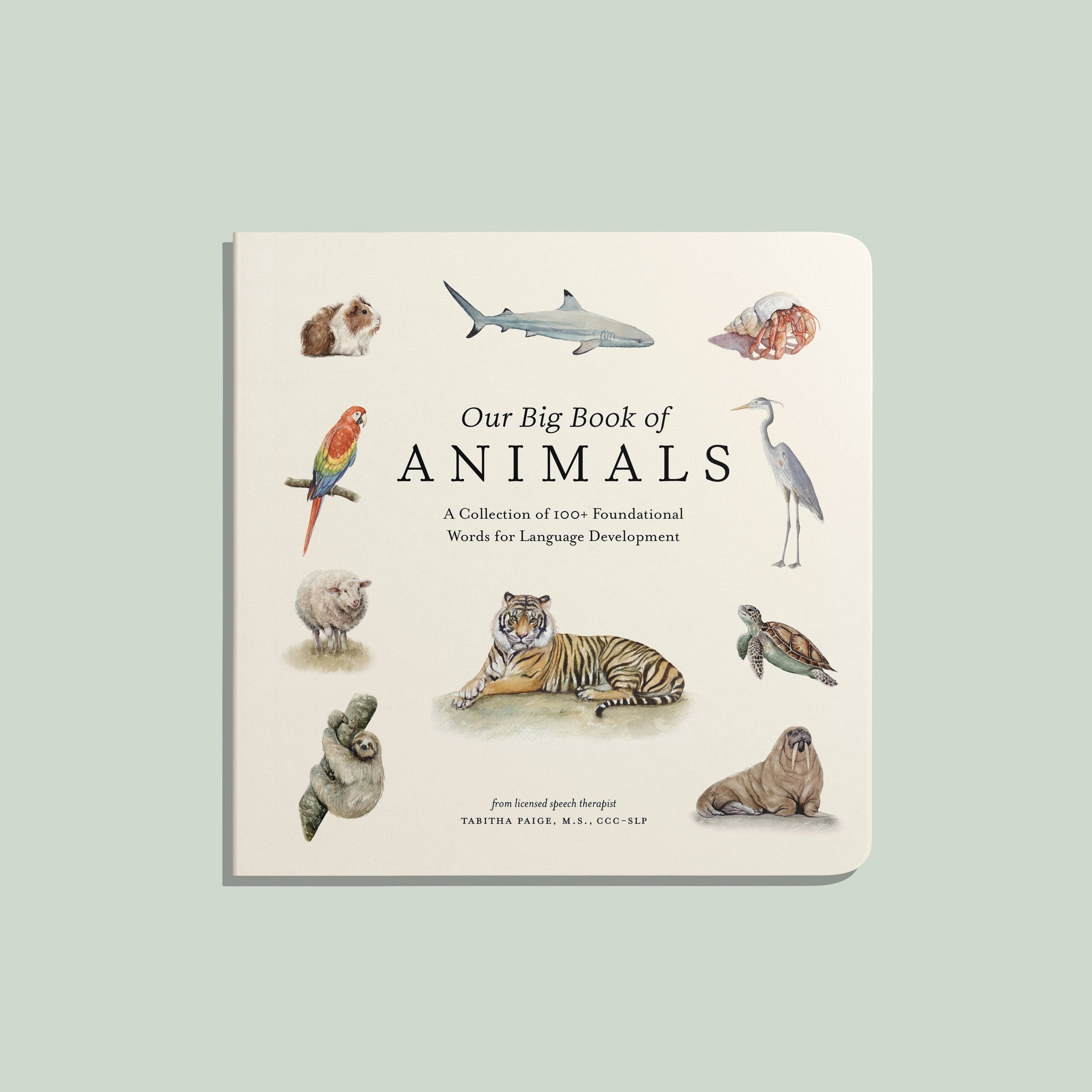 Our Big Book of Animals – Watercolor Board Book