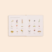 Our Little Adventures Board Book Box Set