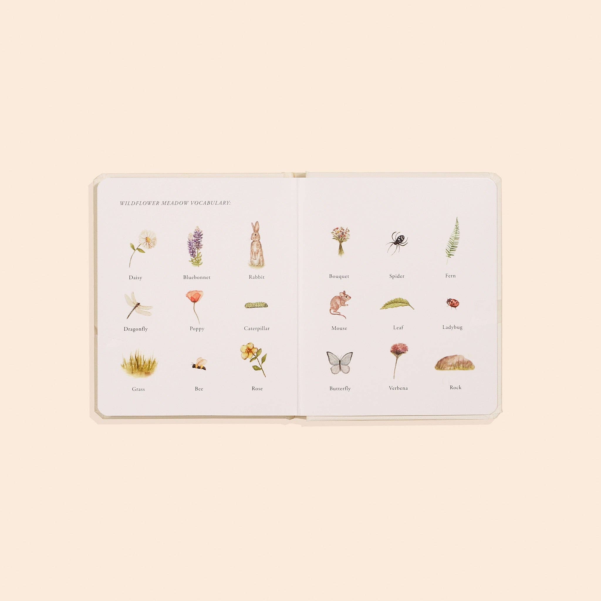 Our Little Adventures Board Book Box Set
