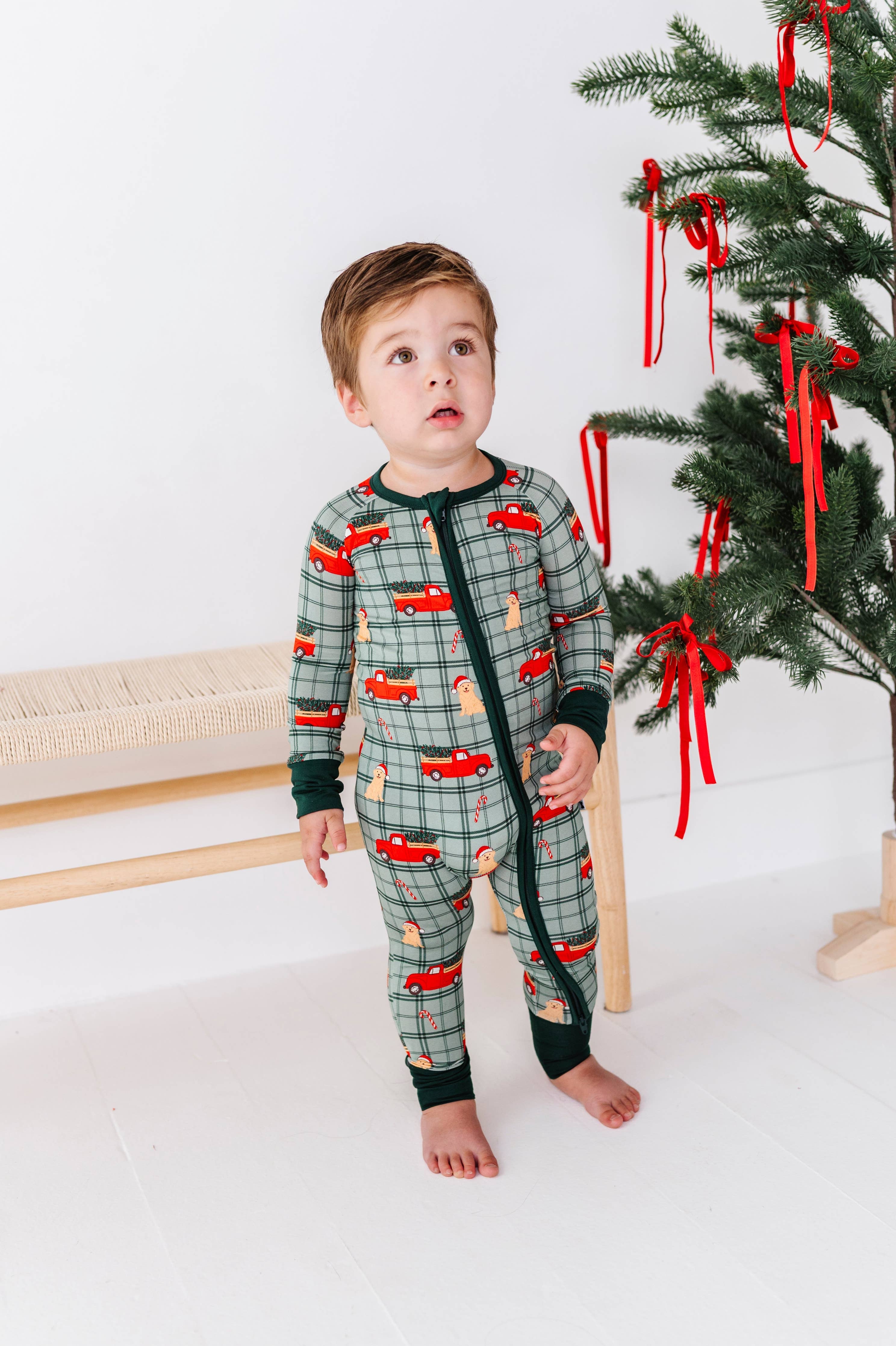 Green Holly Jolly Doggies Convertible Footies