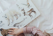 Our Big Book of Animals – Watercolor Board Book